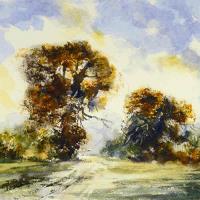 Art greetings card of trees in autumn colours