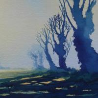 Art greetings card of winter trees with long shadows