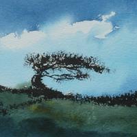 Art greetings card of a wind bowed tree