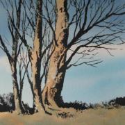 watercolour and ink painting of three trees