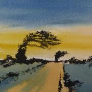 watercolour and ink painting of windswept tree sunset