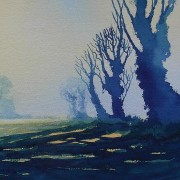 watercolour painting of shadows and trees in norfolk field